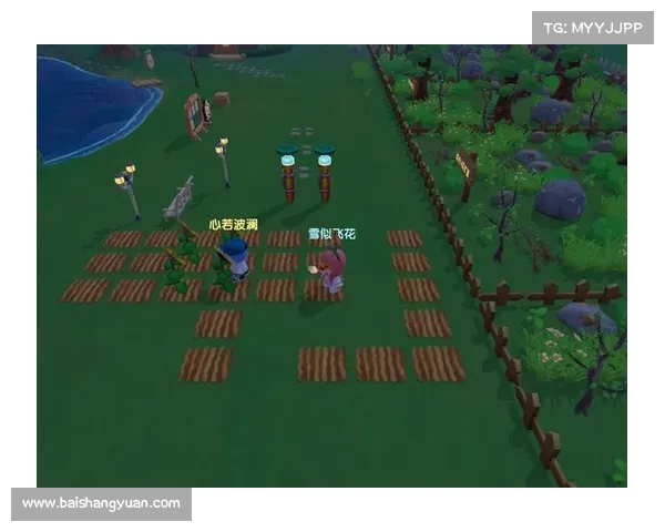 摩尔庄园邻居申请必看五大注意事项及技巧详解 摩尔庄园邻居申请必看五大注意事项及技巧详解